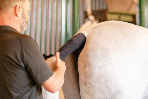 EquiFit No Hassle TailWrap™