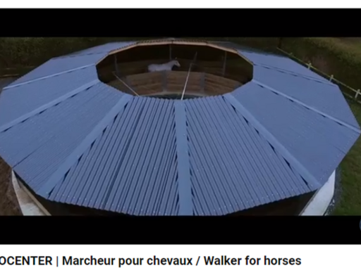 Julkalender: Lucka 23 - HIPPOCENTER | Marcheur pour chevaux / Walker for horses