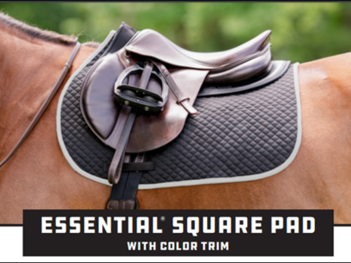 Julkalender: Lucka 24- START 2024 WITH NEW EQUIFIT ESSENTIAL® SQUARE PAD WITH COLOR TRIM