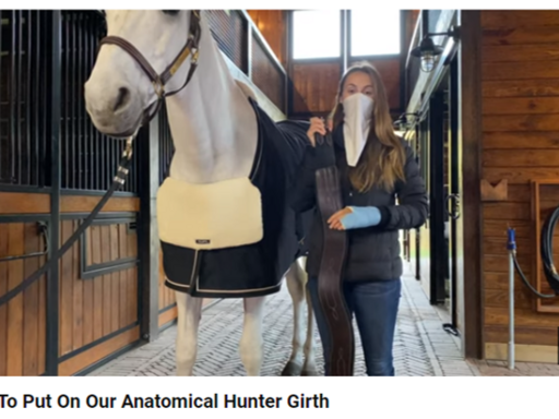 Julkalender: Lucka 20 - How To Put On EquiFit Anatomical Hunter Girth