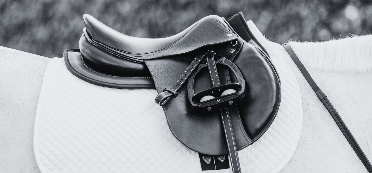 EquiFit horsewealth